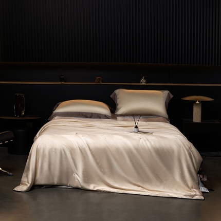 91家纺网 家纺一手货源 找家纺 2025新款太湖蚕丝被 香槟金