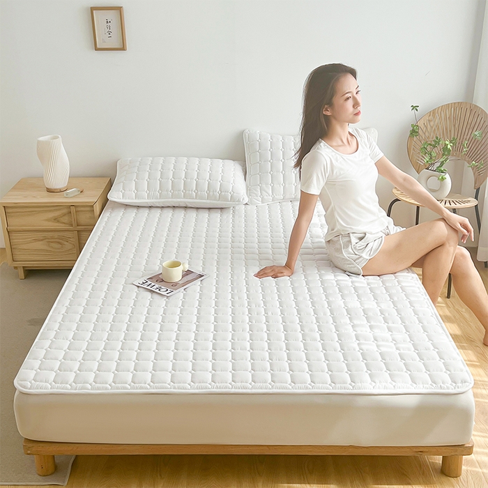 91家纺网 家纺一手货源 找家纺 丽诺 2024新款本色原棉大豆纤维夹棉床褥 白色