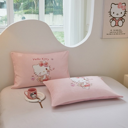蘭菲家纺 2024新款牛奶绒卡通三丽鸥单品枕套 向往