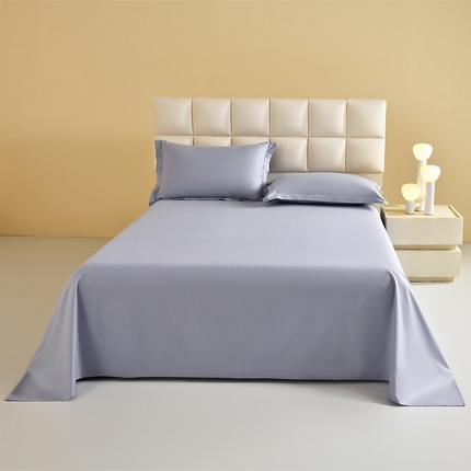 元元被芯 2025款纯色全丝光-全精梳高密纺-铂金A类全棉单床单 轻松灰
