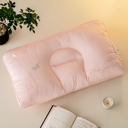 91家纺网 家纺一手货源 找家纺 （总）帝诺妮枕芯坊 2024新款蚕丝蛋白枕