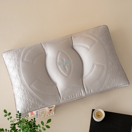 91家纺网 家纺一手货源 找家纺 （总）帝诺妮枕芯坊 2024新款锦氨丝光胶质枕