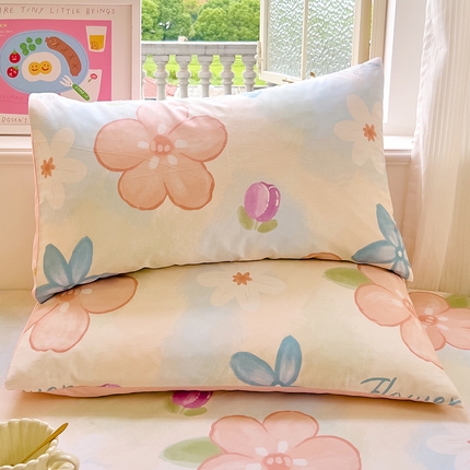 91家纺网 家纺一手货源 找家纺 （总）拾物记 2024新款全棉喷气12868枕套-第二批