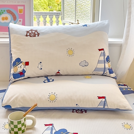 91家纺网 家纺一手货源 找家纺 （总）拾物记 2024新款全棉喷气12868枕套-第二批