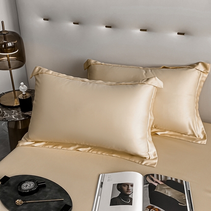 91家纺网 家纺一手货源 找家纺 （总）DC 2024新款100支新疆长绒棉奥罗拉系列单品枕套