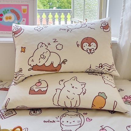 91家纺网 家纺一手货源 找家纺 （总）拾物记 2024新款全棉喷气12868枕套-第二批