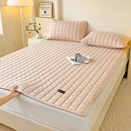 91家纺网 家纺一手货源 找家纺 恒尚居 2024爆款防水床垫床褥床护垫原棉大豆夹棉护垫软床垫-四季跑量款 爱格-奶咖