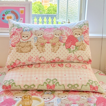 91家纺网 家纺一手货源 找家纺 （总）拾物记 2024新款全棉喷气12868枕套-第二批