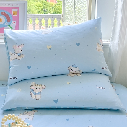 91家纺网 家纺一手货源 找家纺 （总）拾物记 2024新款全棉喷气12868枕套-第二批