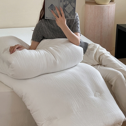（总）梦享生活 2024新款全棉三层提花秋冬被芯