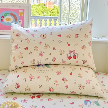 91家纺网 家纺一手货源 找家纺 （总）拾物记 2024新款全棉喷气12868枕套-第二批