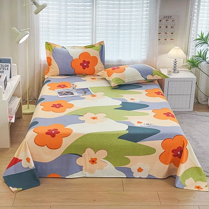 91家纺网 家纺一手货源 找家纺 （总）丝芙妮家居（原乐视家纺） 2024新款全棉磨毛多规格AB版单品套件系列（第二波）--单床单及三件套