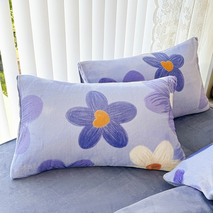 91家纺网 家纺一手货源 找家纺 （总）觅妮家纺 2025新款全消光200g高克重秋冬加厚小清新印花牛奶绒单枕套