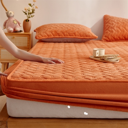 91家纺网 家纺一手货源 找家纺 （总）布卢姆床垫 2025新款牛奶绒抗菌夹棉床笠--南枝系列