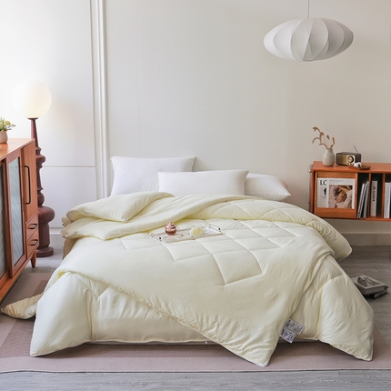 德芙家纺 2024新款德芙双胎被被拉链款磨毛斜格二合一子母被被子被芯 斜格-米黄