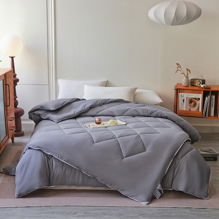 德芙家纺 2024新款德芙双胎被被拉链款磨毛斜格二合一子母被被子被芯 斜格-灰