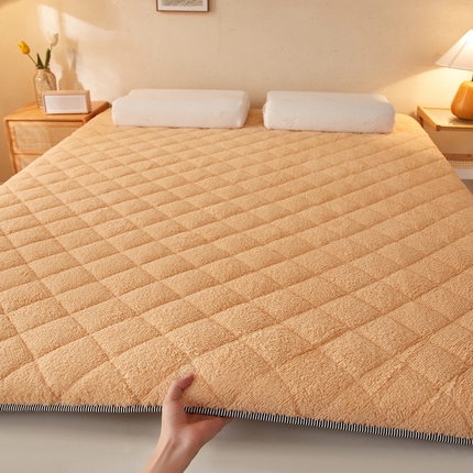 91家纺网 家纺一手货源 找家纺 （总）一禾 2025新款羊羔绒学生床垫垫子