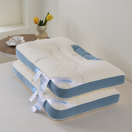 91家纺网 家纺一手货源 找家纺 （总）麦肯锡 2024新款小闺蜜蚕丝养 颜枕-产品图