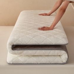 91家纺网 家纺一手货源 找家纺 （总）一禾 2025新款羊羔绒学生床垫垫子,白色,粉色,灰色,驼色