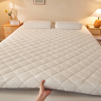 91家纺网 家纺一手货源 找家纺 （总）一禾 2025新款羊羔绒学生床垫垫子