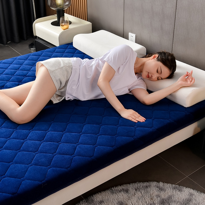 91家纺网 家纺一手货源 找家纺 亿丁点床垫 2024新款加厚宝宝绒抗压床垫 宝宝绒蓝色