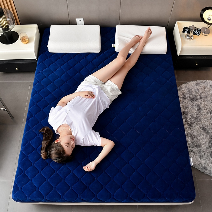 91家纺网 家纺一手货源 找家纺 亿丁点床垫 2024新款加厚宝宝绒抗压床垫 宝宝绒蓝色