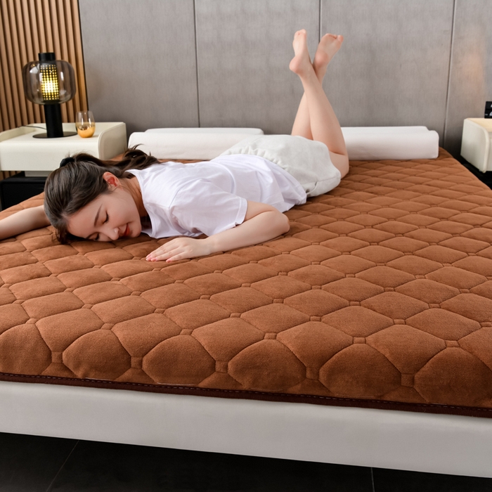 91家纺网 家纺一手货源 找家纺 亿丁点床垫 2024新款加厚宝宝绒抗压床垫 宝宝绒棕色