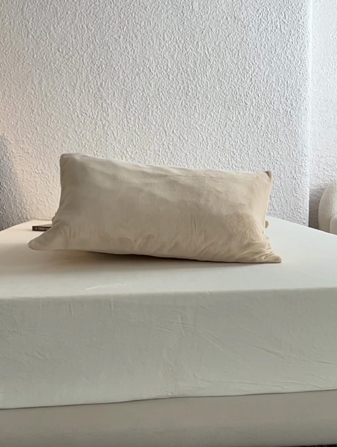 91家纺网 家纺一手货源 找家纺 千朵森 2024新款A类纯色牛奶绒单枕套-芙妮系列 芙妮-奶芋黄