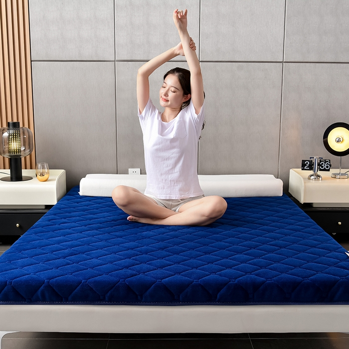 91家纺网 家纺一手货源 找家纺 亿丁点床垫 2024新款加厚宝宝绒抗压床垫 宝宝绒蓝色