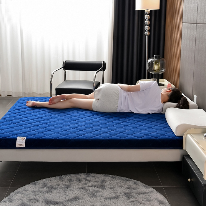 91家纺网 家纺一手货源 找家纺 亿丁点床垫 2024新款加厚宝宝绒抗压床垫 宝宝绒蓝色