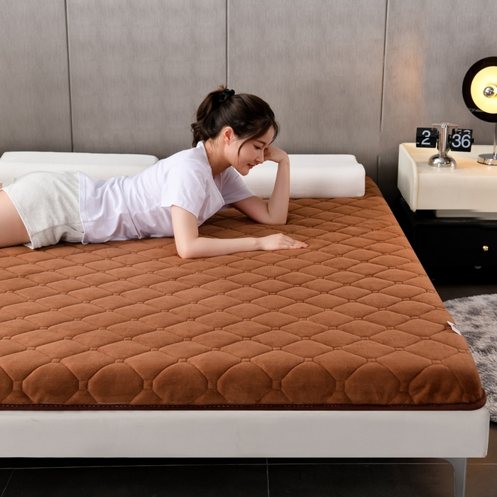 91家纺网 家纺一手货源 找家纺 亿丁点床垫 2024新款加厚宝宝绒抗压床垫 宝宝绒棕色