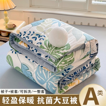 91家纺网 家纺一手货源 找家纺 （总）晓时候 2025新款印花水洗棉可拆洗大豆纤维被子被芯冬被春秋被