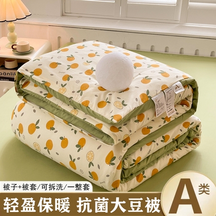 91家纺网 家纺一手货源 找家纺 （总）晓时候 2025新款印花水洗棉可拆洗大豆纤维被子被芯冬被春秋被