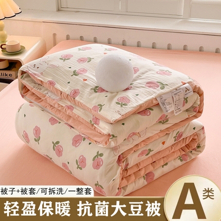 91家纺网 家纺一手货源 找家纺 （总）晓时候 2025新款印花水洗棉可拆洗大豆纤维被子被芯冬被春秋被