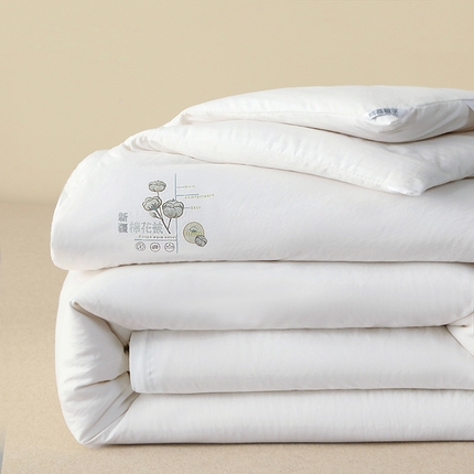 爱宝被业 2025新款可拆洗水洗棉棉花被芯被子被芯 白色