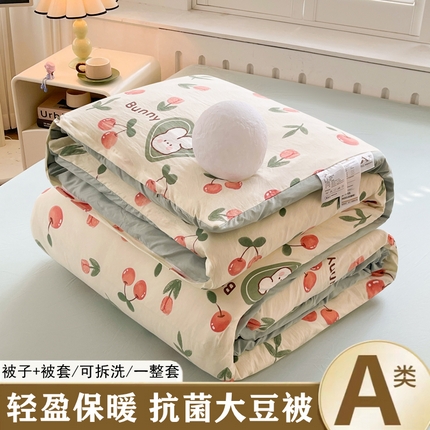 91家纺网 家纺一手货源 找家纺 （总）晓时候 2025新款印花水洗棉可拆洗大豆纤维被子被芯冬被春秋被