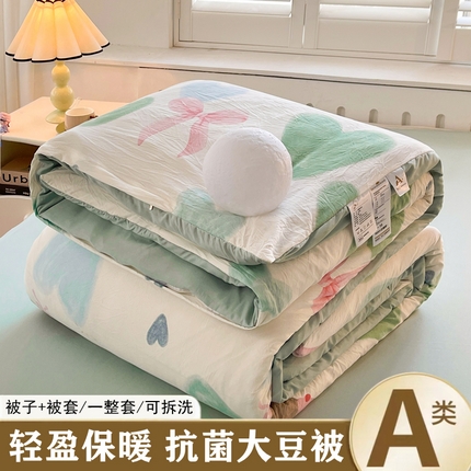 91家纺网 家纺一手货源 找家纺 （总）晓时候 2025新款印花水洗棉可拆洗大豆纤维被子被芯冬被春秋被