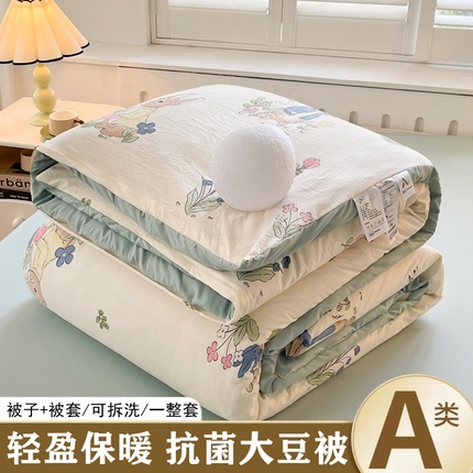 91家纺网 家纺一手货源 找家纺 （总）晓时候 2025新款印花水洗棉可拆洗大豆纤维被子被芯冬被春秋被