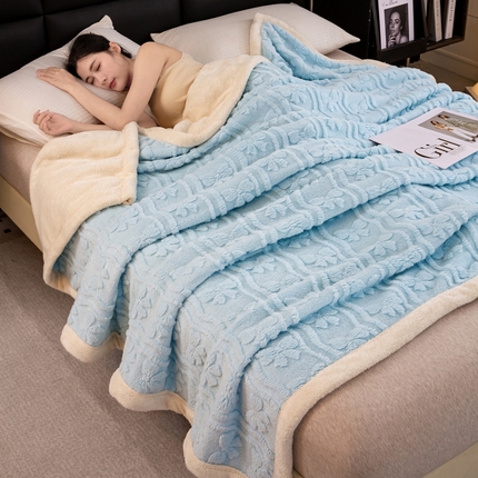 91家纺网 家纺一手货源 找家纺 （总）首尔家纺 2024新款提花舒棉绒塔芙绒羊羔绒双层毛毯