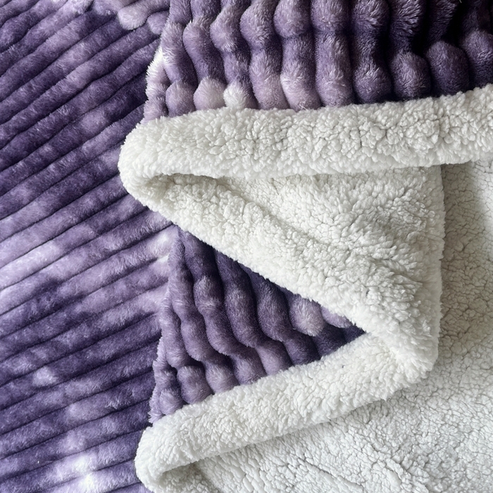 91家纺网 家纺一手货源 找家纺 璐维斯家纺 2025款双层加厚毛毯羊羔绒牛奶绒保暖毯子盖毯午睡法莱绒多功能毯子跨境外贸直播电商专供礼品绒毯 葡萄紫