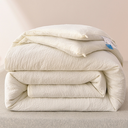 91家纺网 家纺一手货源 找家纺 （总）富威堡家纺 2025新款A类泡泡纱新疆棉花被