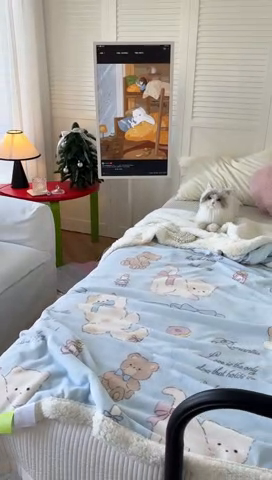 91家纺网 家纺一手货源 找家纺 吉象家纺 2024新款高克重牛奶绒羊羔绒印花毛毯 元气猫咪