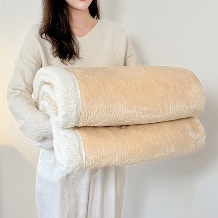 91家纺网 家纺一手货源 找家纺 （总）丹本家纺 2025新款双层贝贝绒提花舒棉绒羊羔绒盖毯毛毯