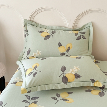 91家纺网 家纺一手货源 找家纺 （总）铭成 2024新款全棉生态喷气加厚磨毛单品枕套