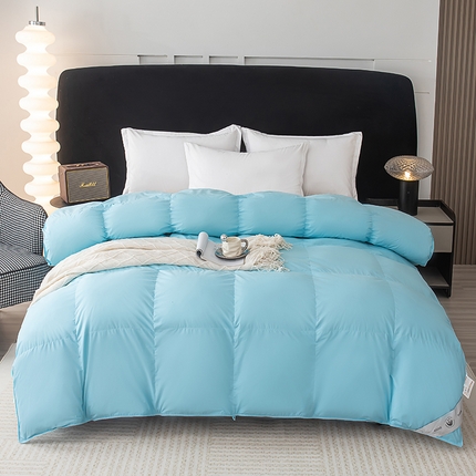 91家纺网 家纺一手货源 找家纺 （总）华盛羽绒被 2025新款全棉贡缎羽绒被壳羽毛被春秋被冬被