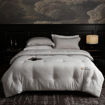 被靠被 2024新款A类石墨烯3D黑金被被子被芯 3D黑金被-灰