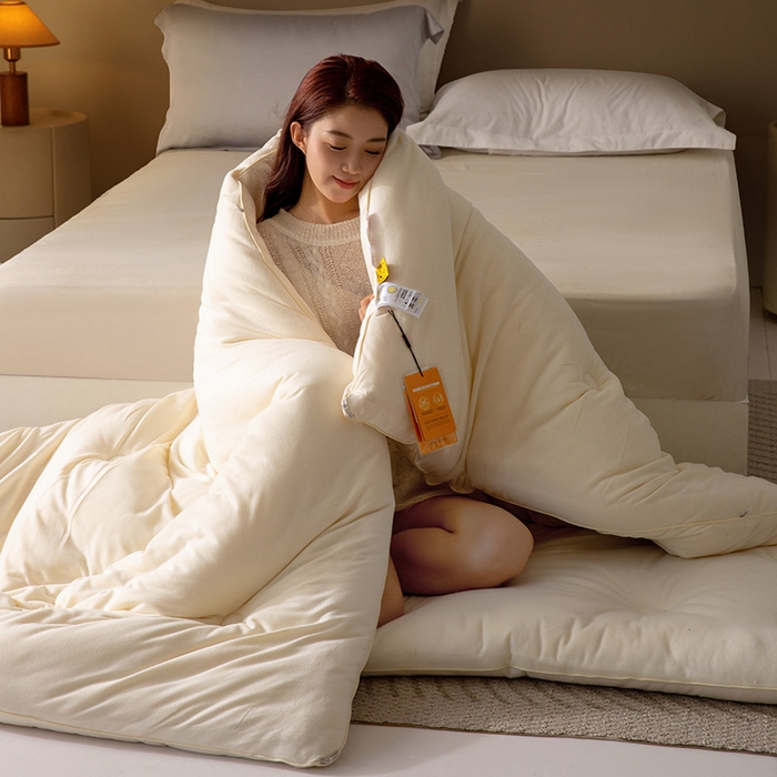 91家纺网 家纺一手货源 找家纺 被靠被 2024新款火山绒大豆纤维被被子被芯 本白