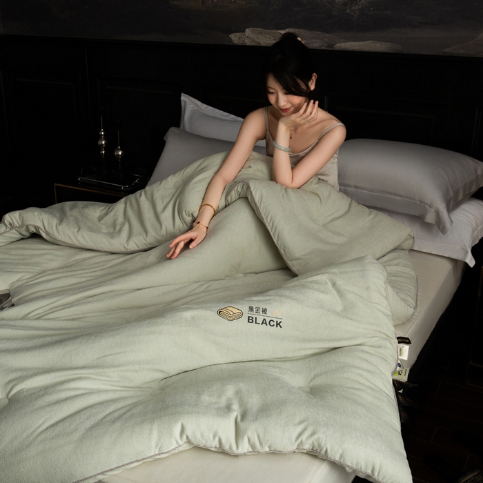 91家纺网 家纺一手货源 找家纺 被靠被 2024新款A类石墨烯3D黑金被被子被芯 3D黑金被-绿