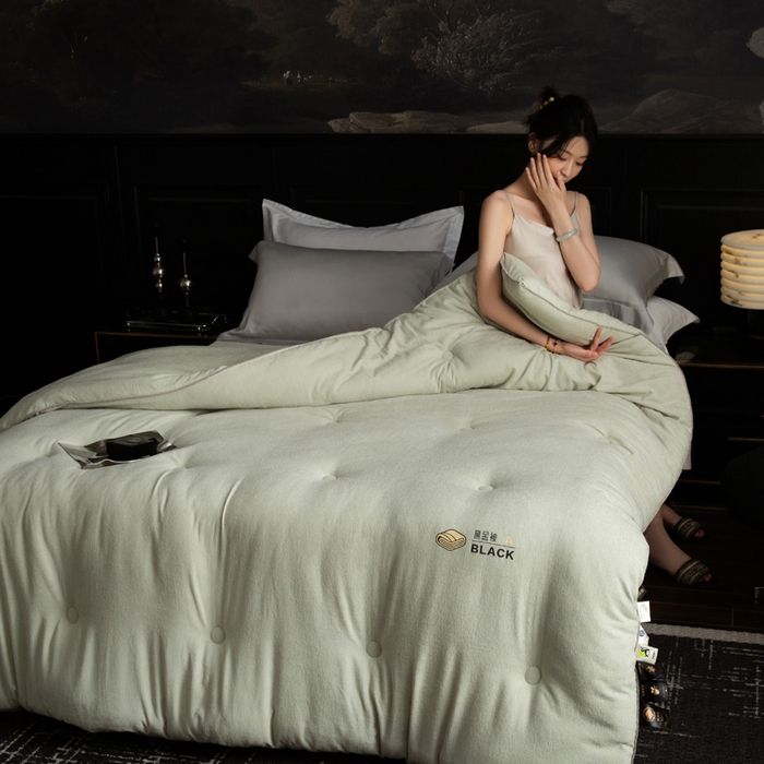 91家纺网 家纺一手货源 找家纺 被靠被 2024新款A类石墨烯3D黑金被被子被芯 3D黑金被-绿