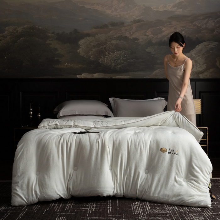91家纺网 家纺一手货源 找家纺 被靠被 2024新款A类石墨烯3D黑金被被子被芯 3D黑金被-白